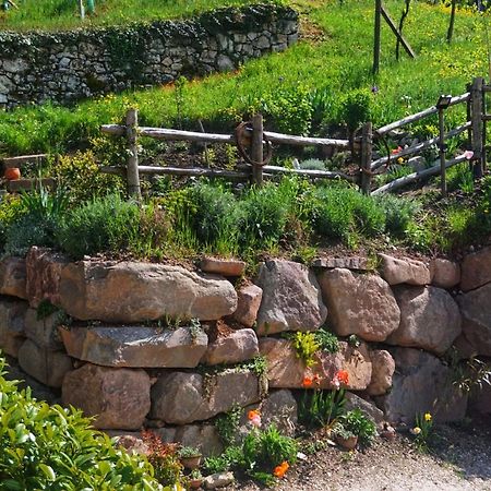 Agritur Zuveith Διαμέρισμα Salorno Εξωτερικό φωτογραφία