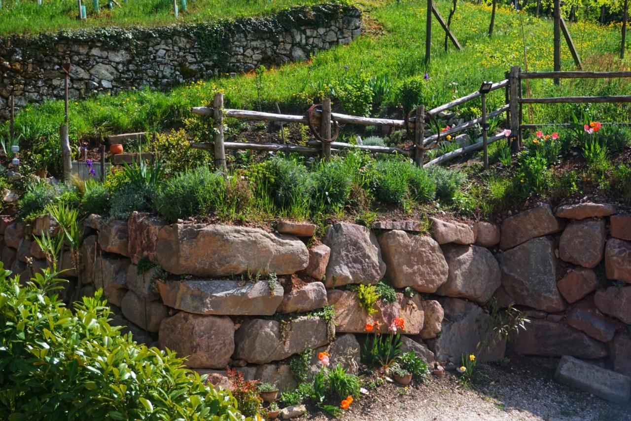 Agritur Zuveith Διαμέρισμα Salorno Εξωτερικό φωτογραφία